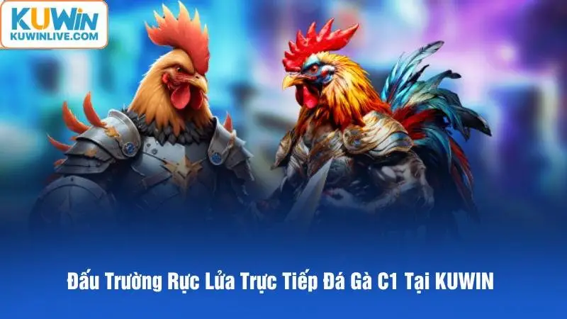 đá gà trực tiếp c1 kuwin