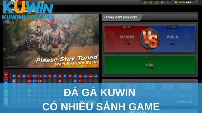 Đá gà Kuwin có nhiều sảnh game