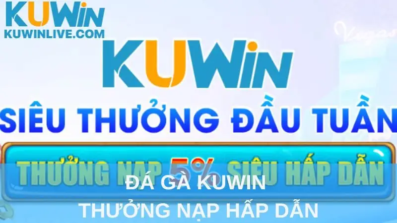 Đá gà Kuwin thưởng nạp hấp dẫn