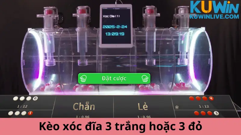 Kèo xóc đĩa 3 trắng hoặc 3 đỏ