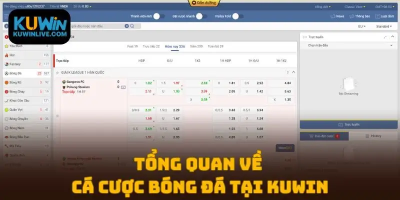 Tổng quan về cá cược bóng đá tại Kuwin