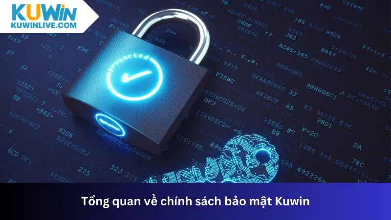 Chính sách bảo mật đóng vai trò cực kỳ quan trọng