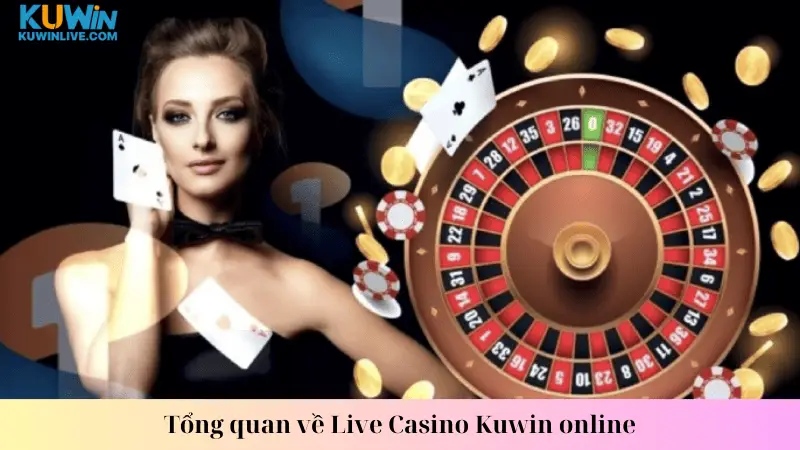 Tổng quan về Live Casino Kuwin online