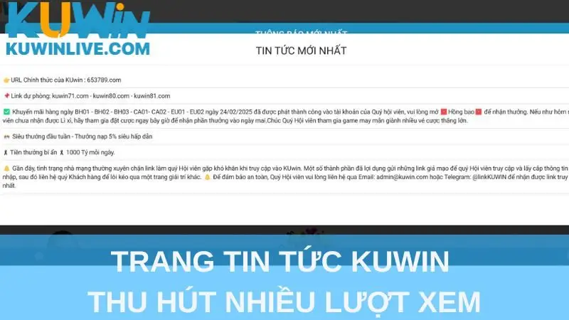 Trang tin tức Kuwin thu hút nhiều lượt xem